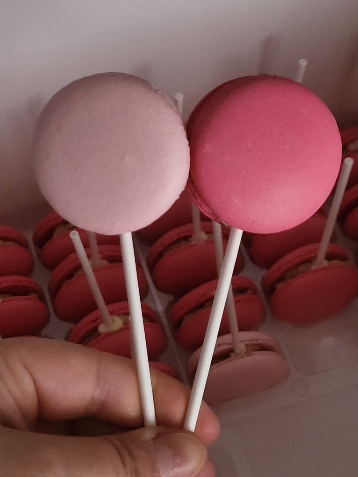 Macaronpops - Imagen 4